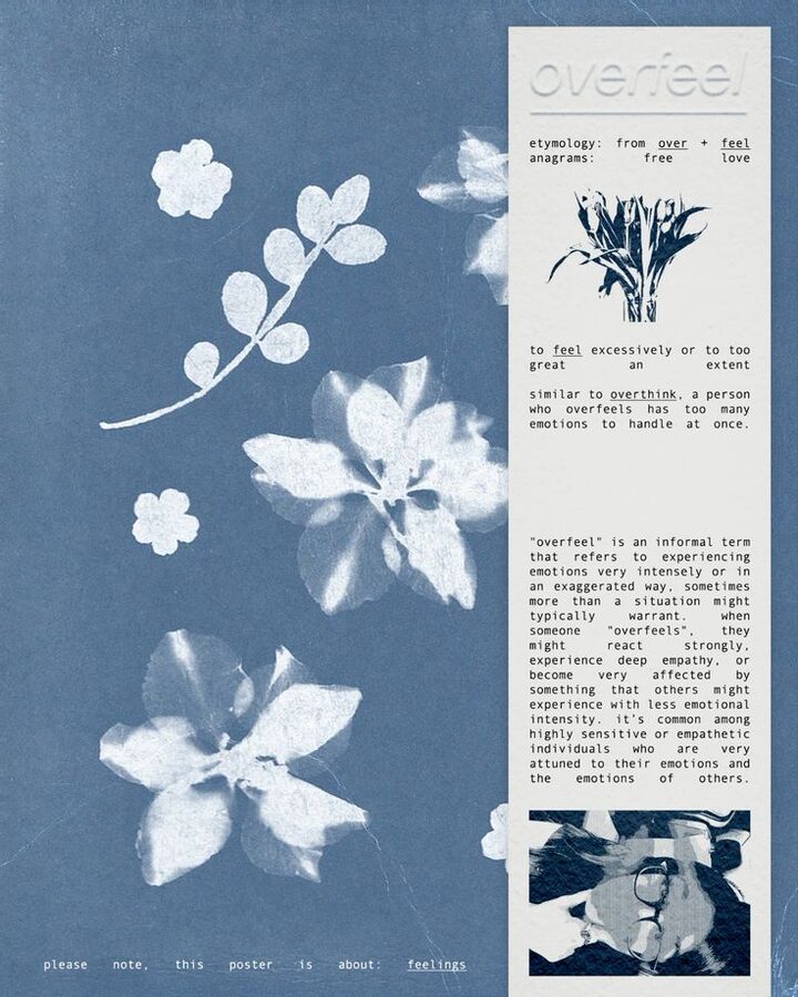 Cianotipo de flores sobre papel