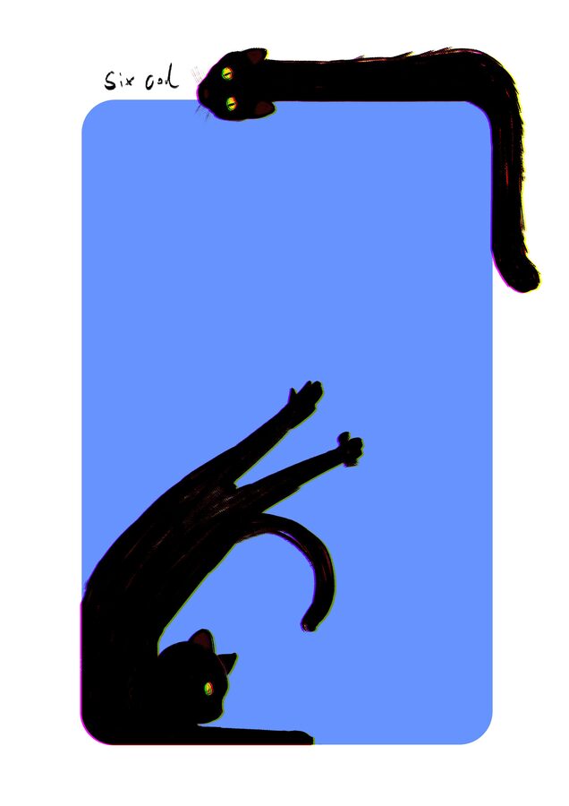 Dos gatos negros sobre una tarjeta azul